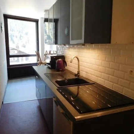 Chamonix-mont-blanc, 1 Piece, 4 Personnes - Fr-1-517-46 Apartment